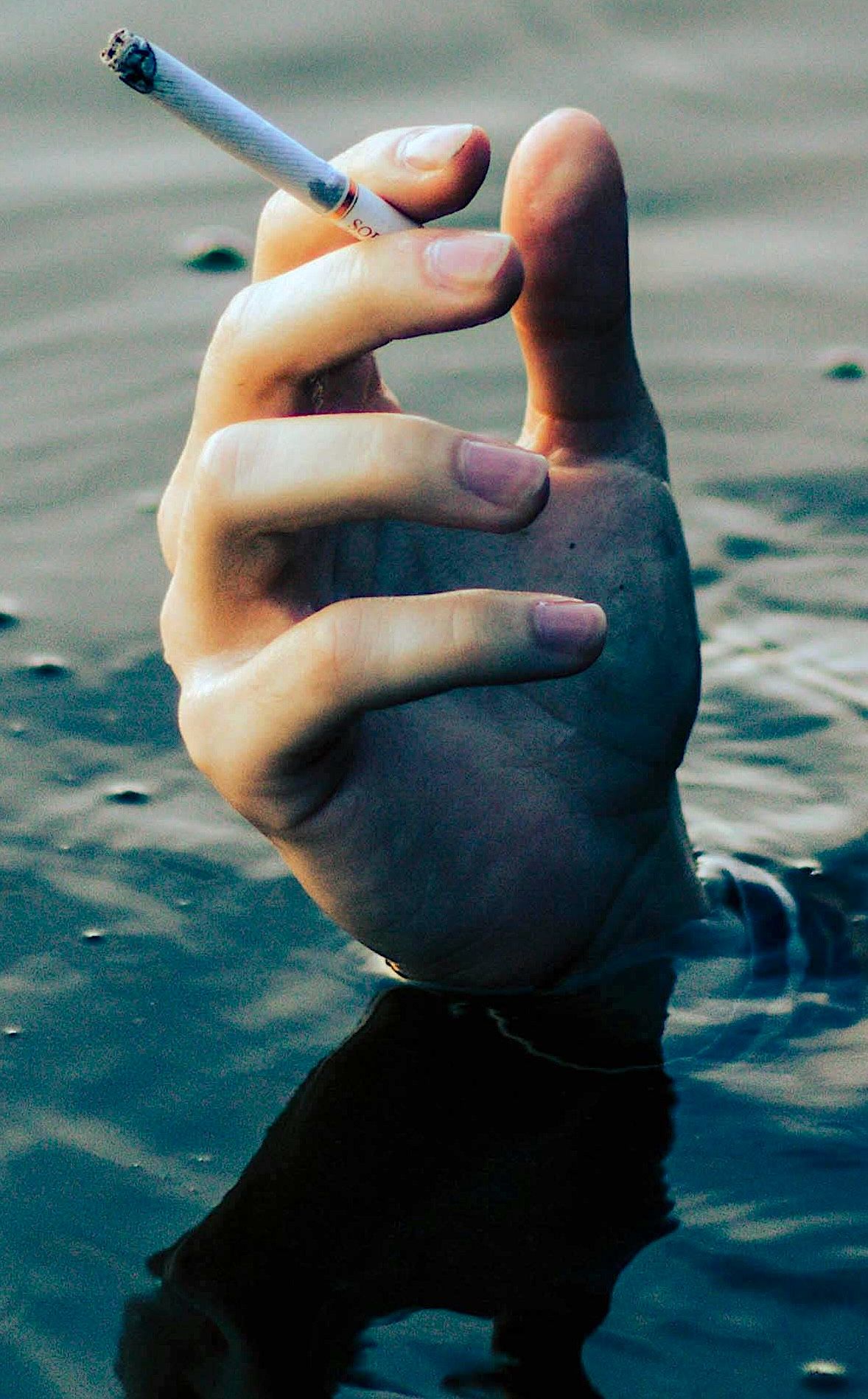 pexels valeria november 500637856 16265518